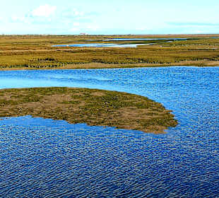 Parque Natural da Ria Formosa