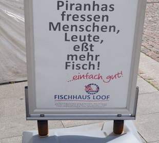 Zu den Hafentagen, Sprüche von Loof