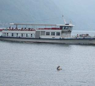Das Linienschiff kommt