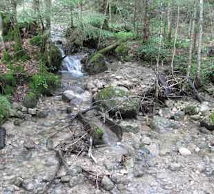 Auf dem Wanderweg zum Wasserfall