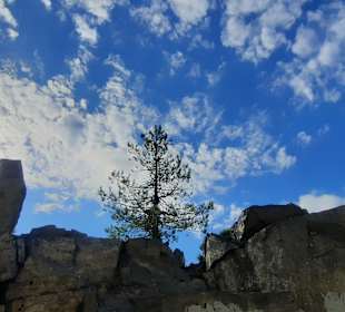 ...auch zum Himmel hin!