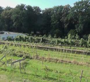 Schlosspark - Belvedere auf dem Klausberg