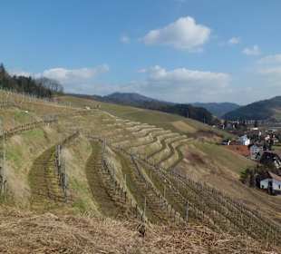 Oberkirch Weinwanderung