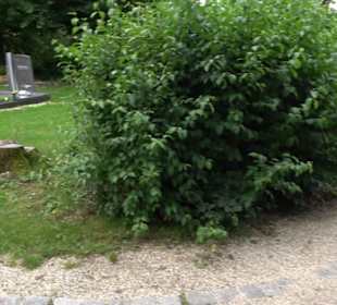 Friedhof Hengen