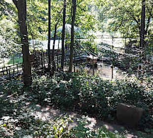 Wildpark Osterzgebirge