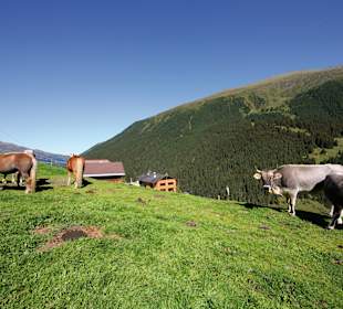 Wandern St. Sigmund im Sellrain