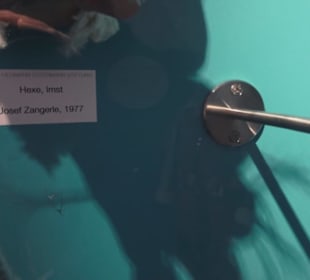 Fastnachtsmuseum Narrenschopf