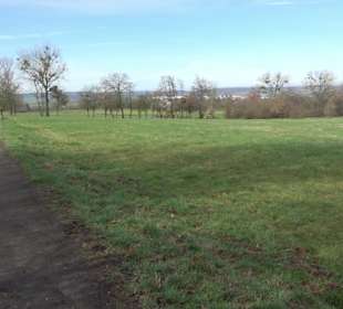 Gomaringer Rundweg - Zu den Giganten im Wald