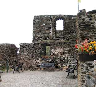 Burgruine Metternich