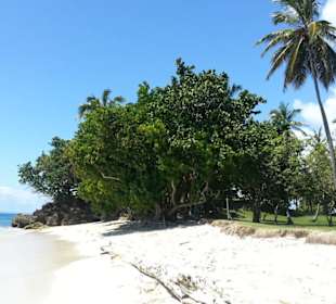 Ausflug Samana Bacardi insel