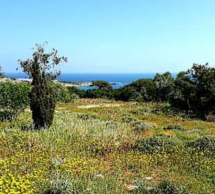 Nationalpark Kap Greco