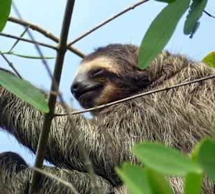 Relax Day Tour mit Federico. Eine kleine Auswahl