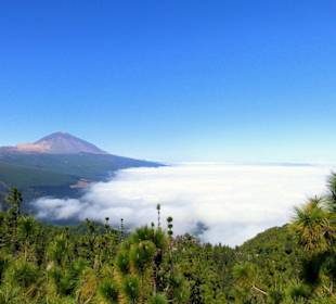 Parque del Teide