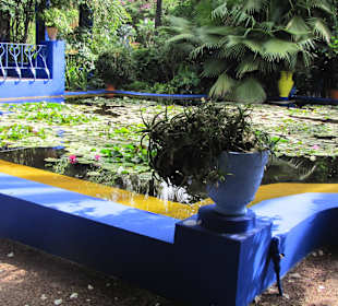 Jardin Majorelle