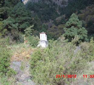 Üppig grüne Landschaft