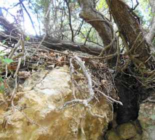 Mili Gorge Impression