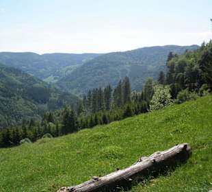 Aussicht vom Hasenhorn