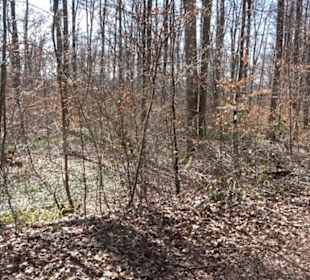 Geschichtlicher Lehrpfad Einsiedel