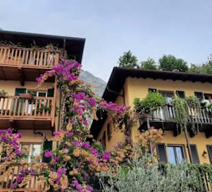 Sehr schöne Gebäude