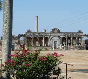 Produktionsstätte für Sisal