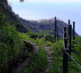 Der Weg wird wilder