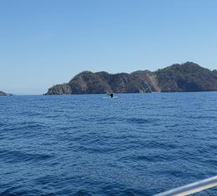 Rundreise Costa Rica Pazifikküste