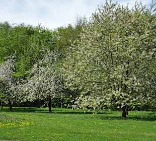 Rundgang durch den Walter-Peters-Park