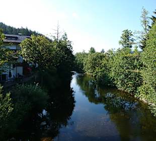 Wandern Bannwald Baiersbronn
