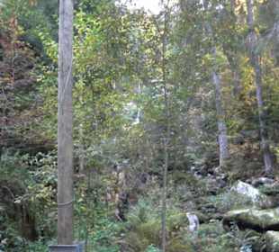 Triberger Wasserfälle