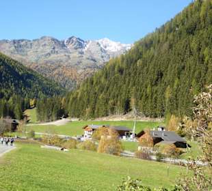 Wanderung zu den Urlärchen