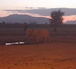 Geführte Touren Marco Polo Tours & Safaris Diani Beach 