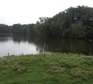 Monopteros in Nymphenburg