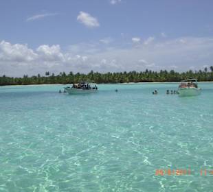 Tagesausflug Saona: Pause an einer Sandbank