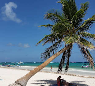 El Paraiso
