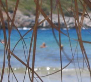 Livadaki Beach