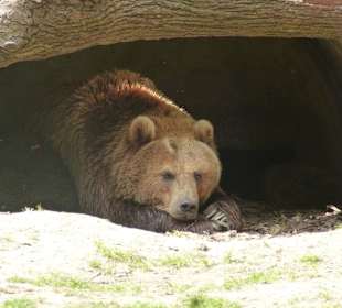 Einer rennt der andere schläft