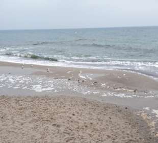 Strand Graal-Müritz