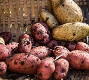 Restaurant Sottoguda