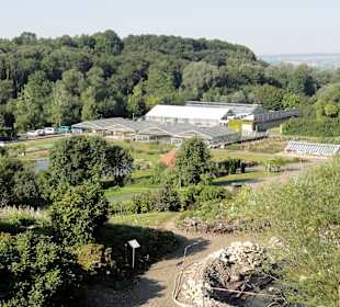 Übersicht über den Garten vom Alpinum