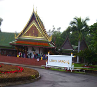 Ausflüge. Loro Park