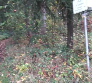 Naturschutzgebiet Listhof