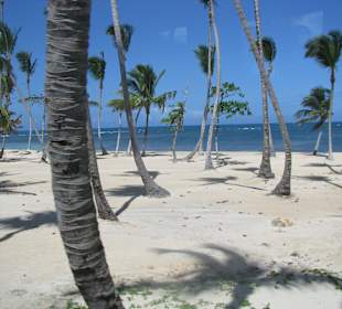 Beach of Cayo Levantado