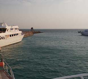 Ab aufs Meer mit der White Star 1