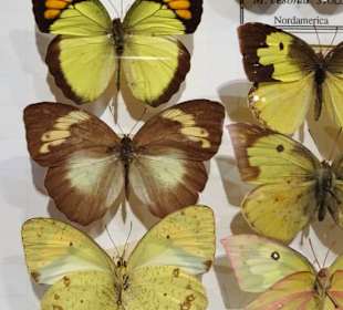 Impressionen aus der Sammlung des Museums