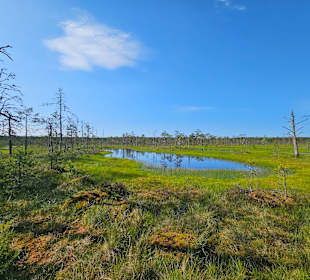 Lahemaa Nationalpark