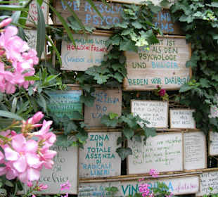 Fischbänke in Bozen