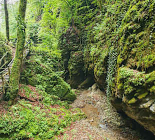 Wandern Semriach