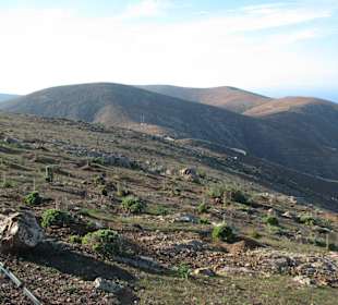 Anbaugebiet am Aussichtspunkt