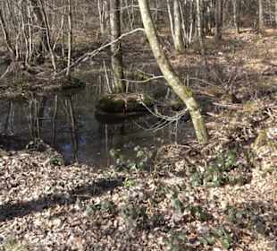 Historischer Rundwanderweg Aichtal