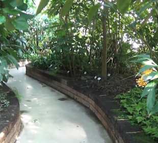 Botanischer Garten